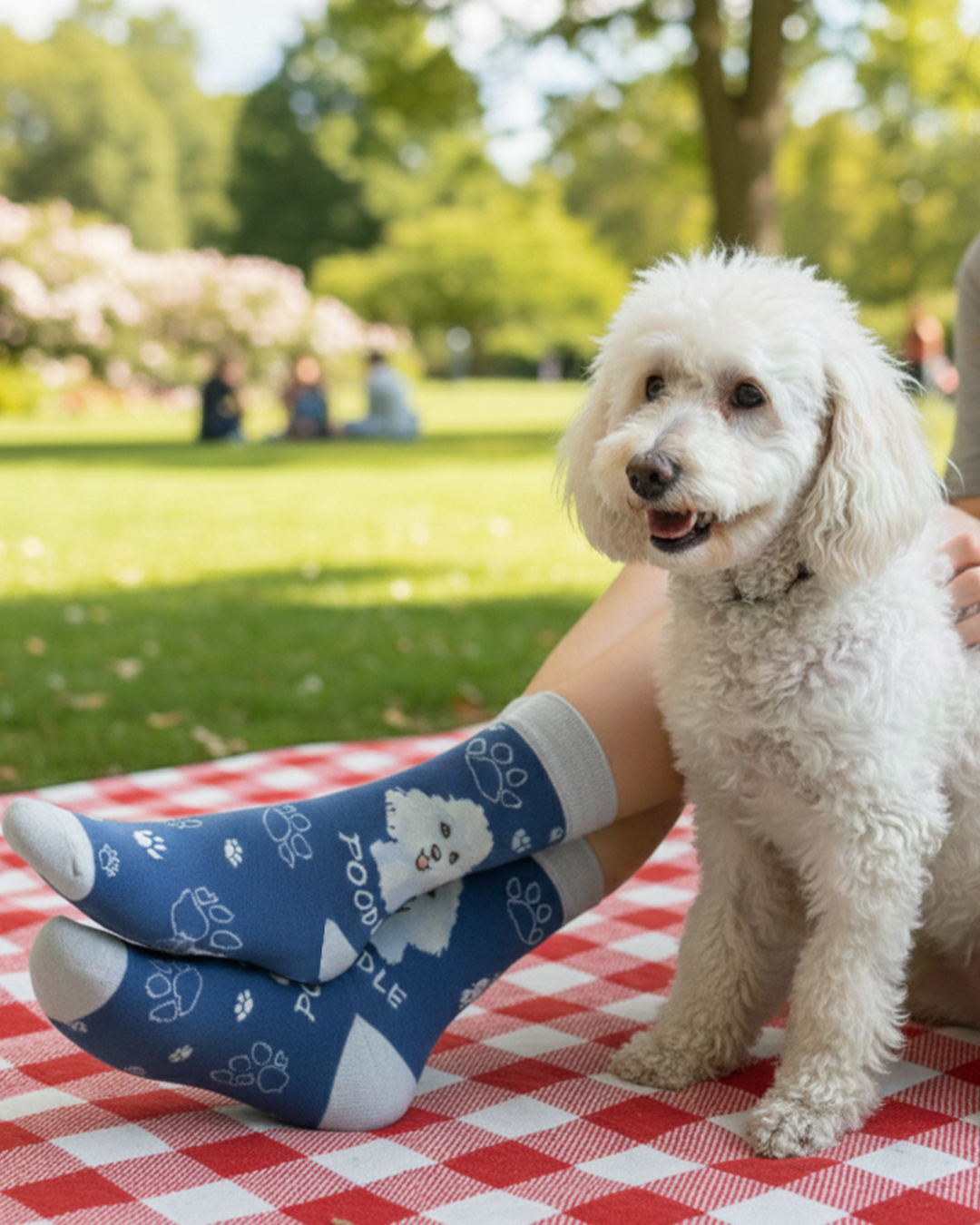 Poodle Socks Elegant Dog Series